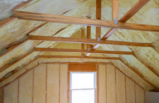 Best Insulation Installation Services in Rehoboth Beach, DE